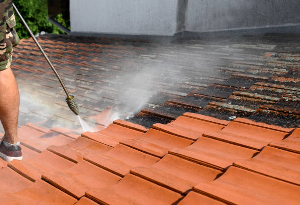 Best Concrete Pressure Washing  in Morris, IL