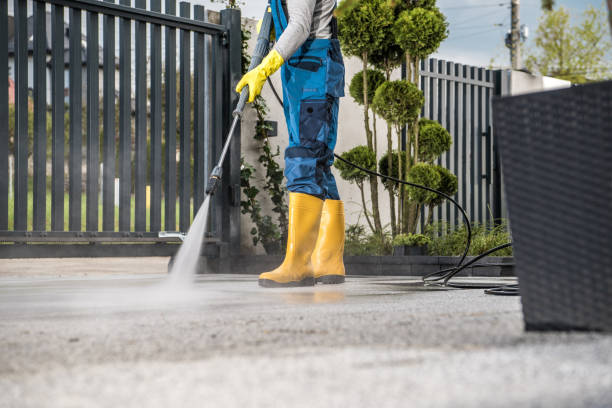 Best Local Pressure Washing Services  in Morris, IL