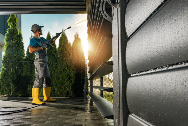 Best Pressure Washing Driveway  in Morris, IL