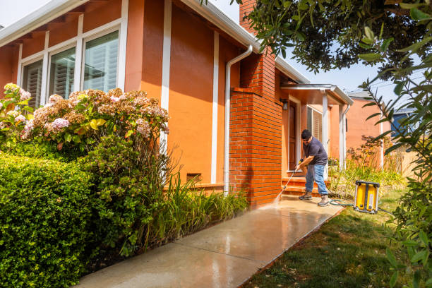 Best Pressure Washing Cost  in Morris, IL